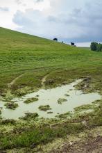 Paysage